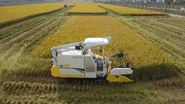 江苏海门：打造数字化高尺度农田，为村落振兴蓄势赋能