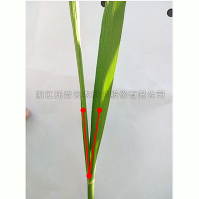 首页-玛雅吧-「品质引领发展,专一成就将来」