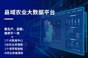 县域农业大数据平台建设规划