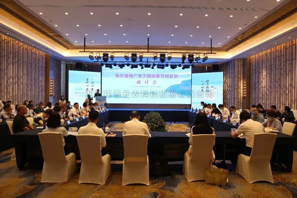 仙居杨梅：再登浙江卫视，以数字技术打造共同富足示范“幸福果”