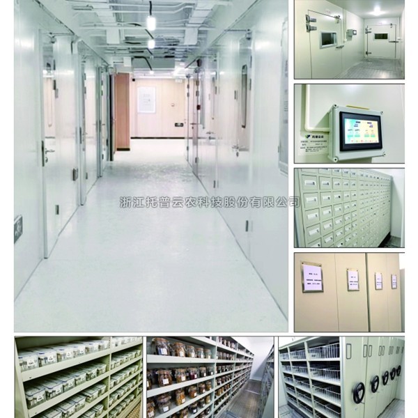 种质资源中期库介绍|什么是种质资源中期库？