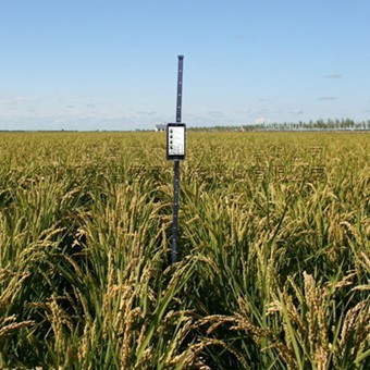 植物株高丈量仪 