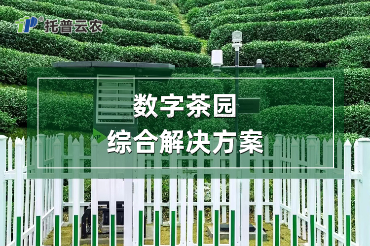 数字茶园综合解决规划