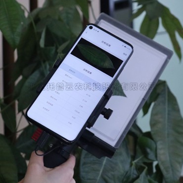 植物壹积的测定步骤