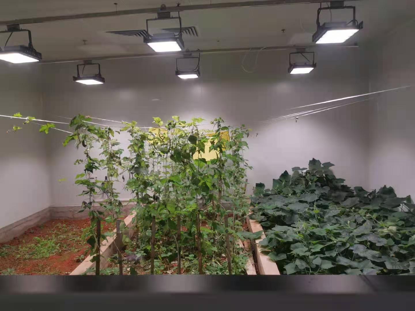 植物组培尝试室仪器设备配置清单