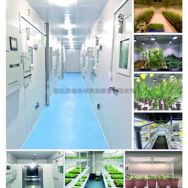 植物组培尝试室设计规划（2024具体版）