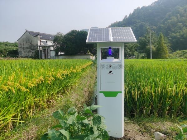 从“新”启程！玛雅吧幼虫体智能测报系统迈向纵深发展新阶段