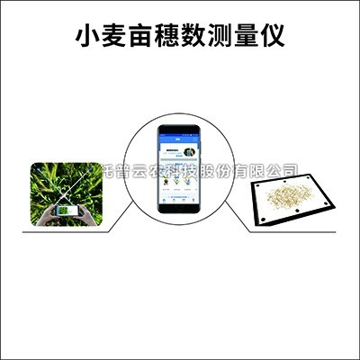 幼麦亩穗数丈量仪/系统：丈量幼麦亩穗数的育种测产仪器