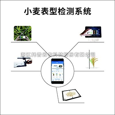 幼麦表型检测系统具体介绍