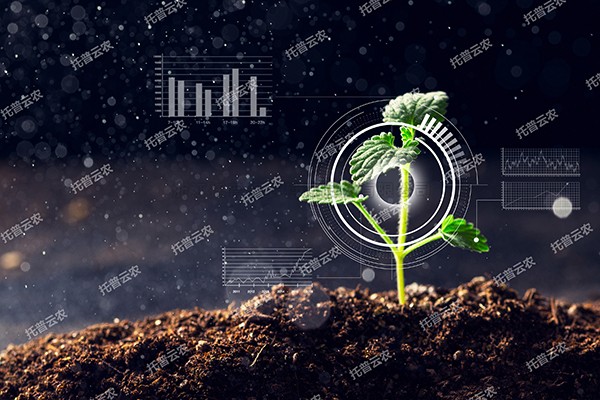 全新启程——玛雅吧为植物表型科延装数智”赋能