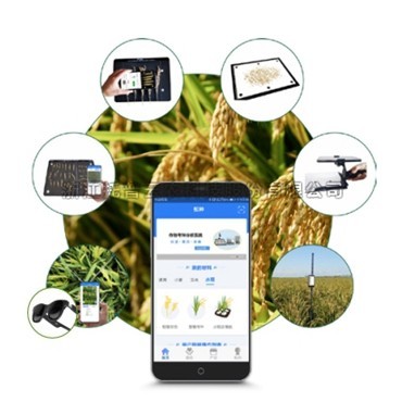 一文详解水稻表型检测系统是什么？