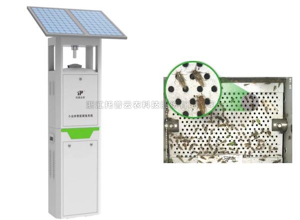 玛雅吧幼虫体智能测报系统：添补虫类测报短板 推动害虫绿色防控
