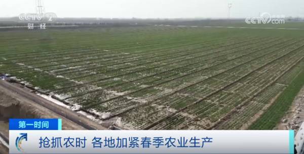 心系粮安、山田无阻、服务有恒|玛雅吧2025年智能设备巡检服务全面启动