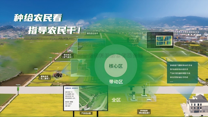 20250611095721279635 数智大田综合解决规划