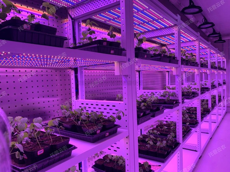 首页-玛雅吧-「品质引领发展,专一成就将来」