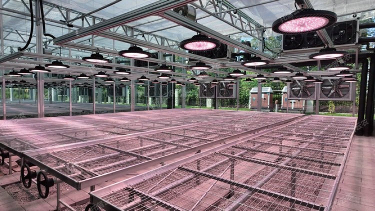 首页-玛雅吧-「品质引领发展,专一成就将来」