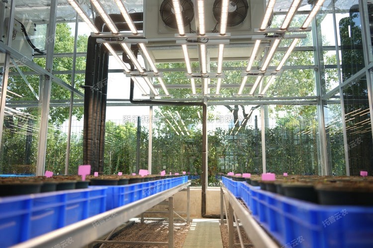 首页-玛雅吧-「品质引领发展,专一成就将来」