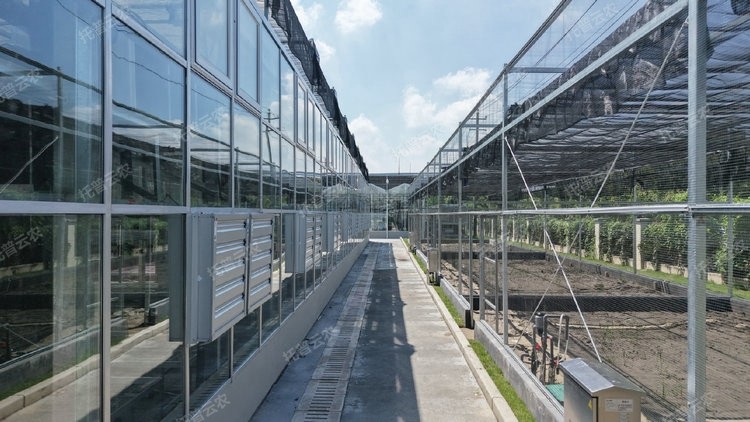 首页-玛雅吧-「品质引领发展,专一成就将来」