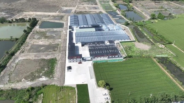 南太湖丰产密码！玛雅吧高尺度农田全链条规划，建好更能用好