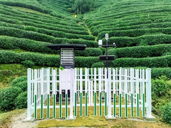 玛雅吧颁布“问稷茶数”智能体，赋能茶产业数智升级