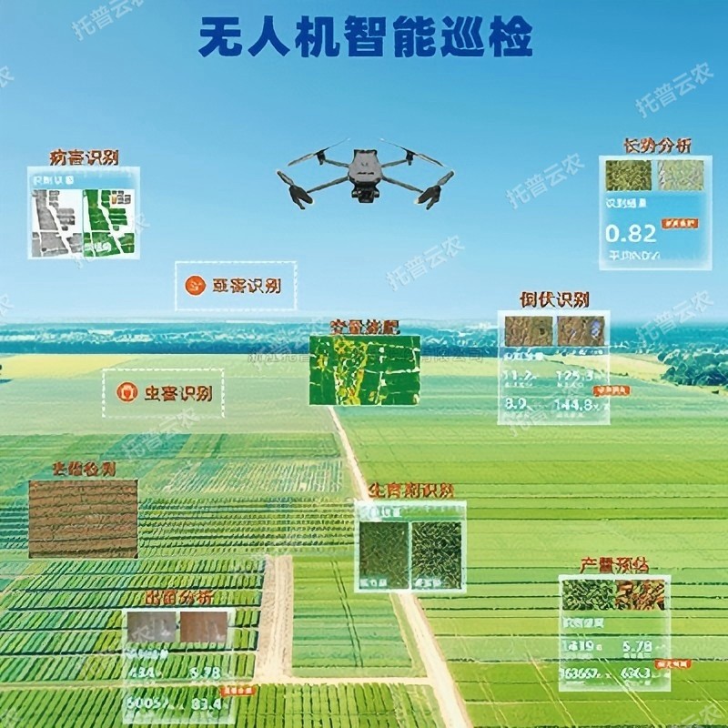 首页-玛雅吧-「品质引领发展,专一成就将来」
