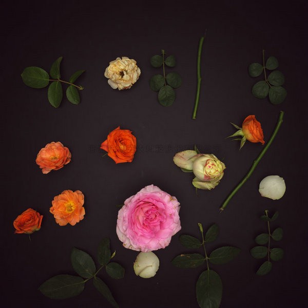 首页-玛雅吧-「品质引领发展,专一成就将来」