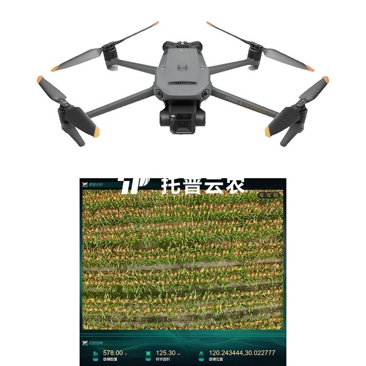 玉米表型成长监测系统 TP-KJG-YM