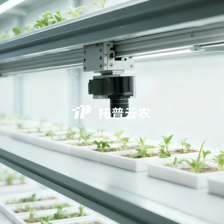 人为气象室植物表型监测系统 TP-PlantPhy