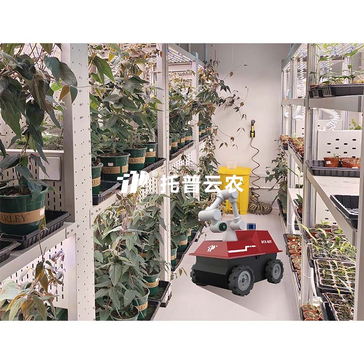 首页-玛雅吧-「品质引领发展,专一成就将来」