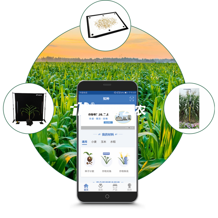 玉米表型检测仪 TPY-BX-1