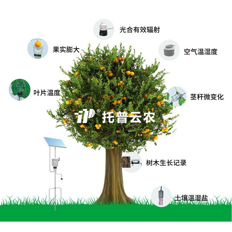 植物生理生态监测系统TP-ZWSL系列