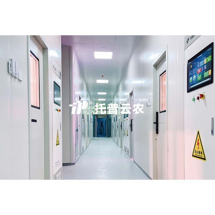 首页-玛雅吧-「品质引领发展,专一成就将来」