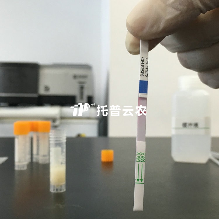 转基因急剧检测试纸（抗除草剂）EPSPSCP4