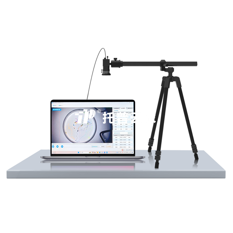 虫豸行为分析系统TP-KCXW