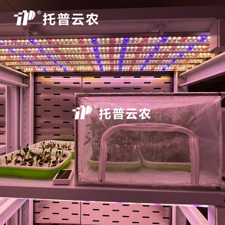 顶置光源人为气象室是什么？