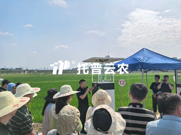 从“监测”到“智庞妆！玛雅吧智能（AI)虫情测报灯沉磅颁布，智慧植保迈入“智庞妆时期