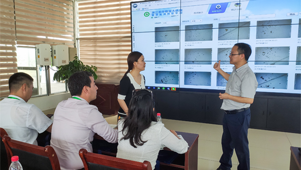  朱旭华副总经理与代表们萦绕虫情测报深刻互换