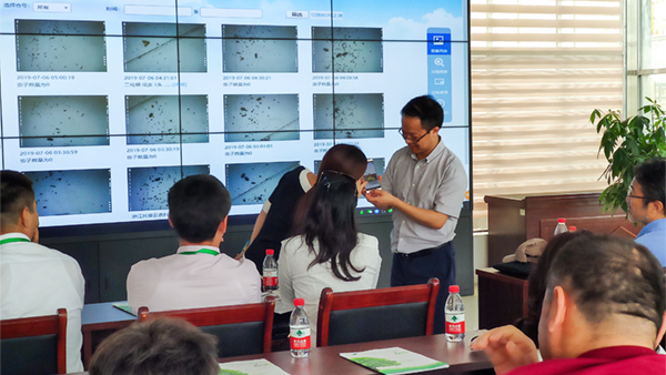  朱旭华副总经理与代表们萦绕虫情测报深刻互换