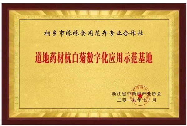 路地药材杭白菊数字化利用示范基地