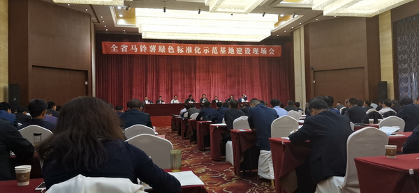 甘肃省全省马铃薯绿色尺度化示范基地建设现场会在定西市安谧区召开