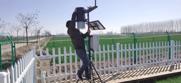 植？蒲布旆务