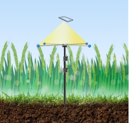 幼麦亩穗数丈量系统