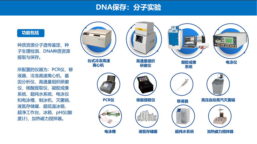 分子尝试仪器