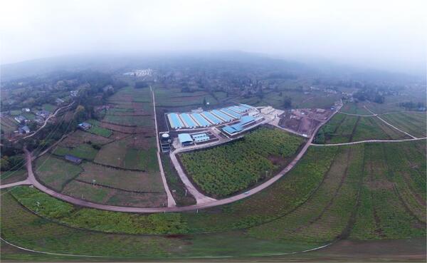 扎根四川，玛雅吧为农业数字化发展服务