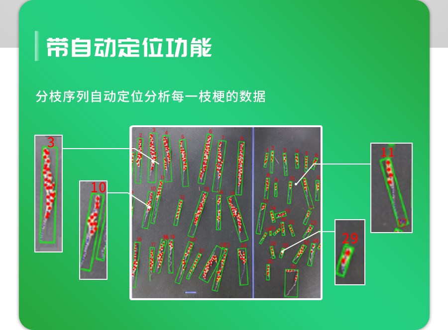 水稻整穗考种丈量系统