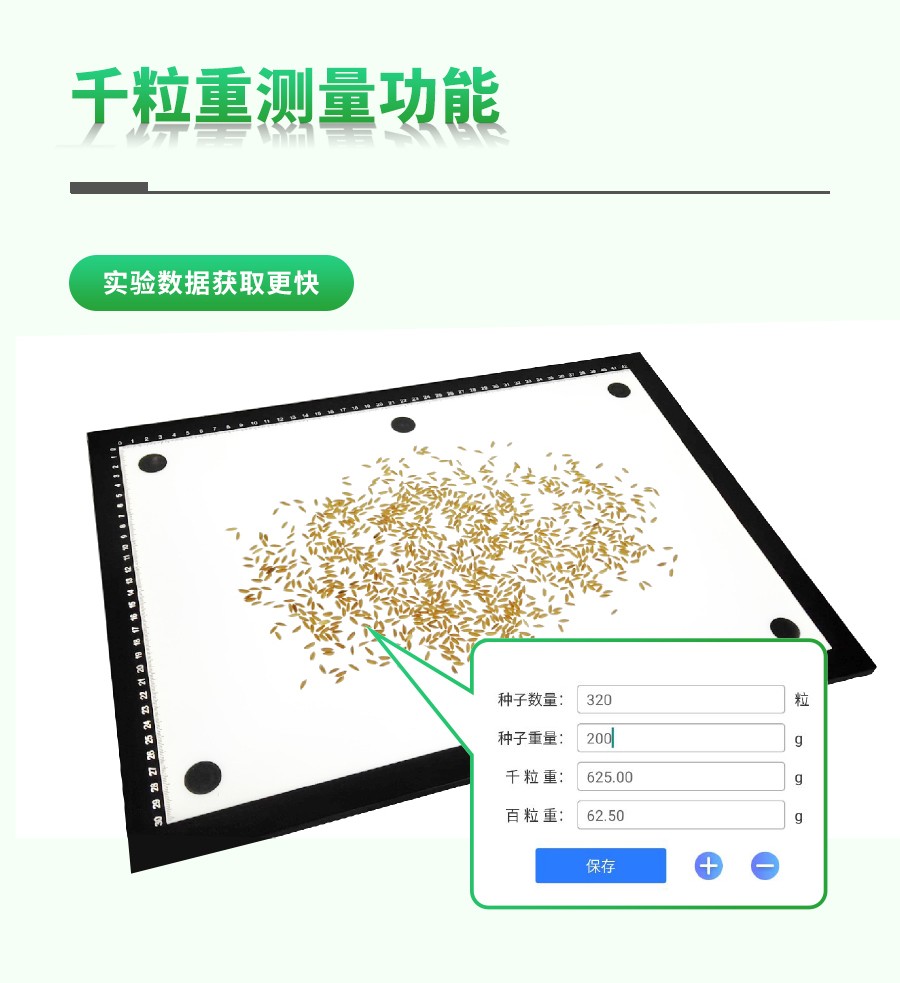 水稻整穗考种丈量系统