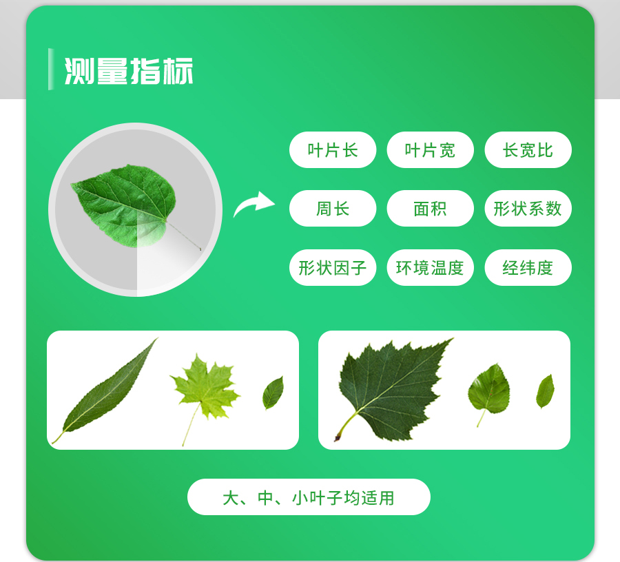活体壹积丈量仪 活体壹积丈量仪