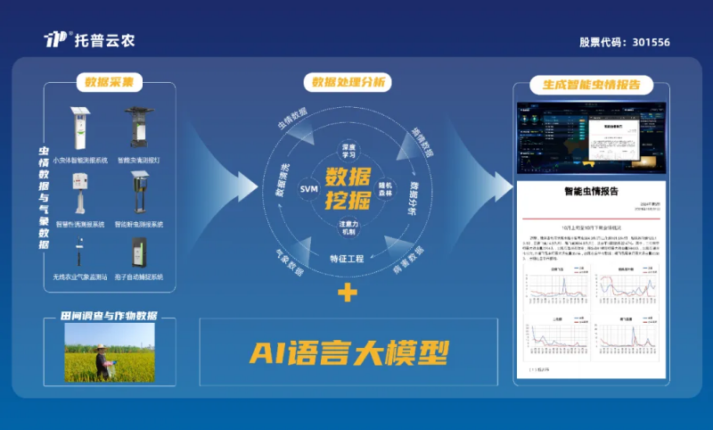 图片6_副本.png