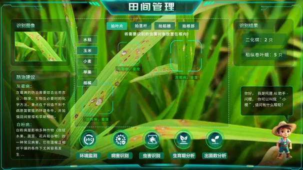 图片11_副本.png