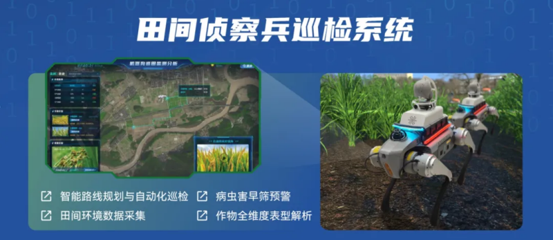 图片12_副本.png